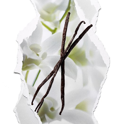 nuoc-hoa-all-or-nothing-parfum-35679-oriflame-3 nuoc-hoa-all-or-nothing-parfum-35679-oriflame-3
